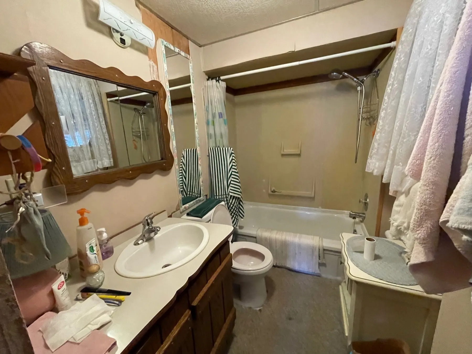 Haliburton Cottage, bathroom before the renovation
